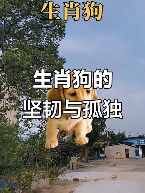 事实:1958属狗人，67岁的人生你敢看吗？