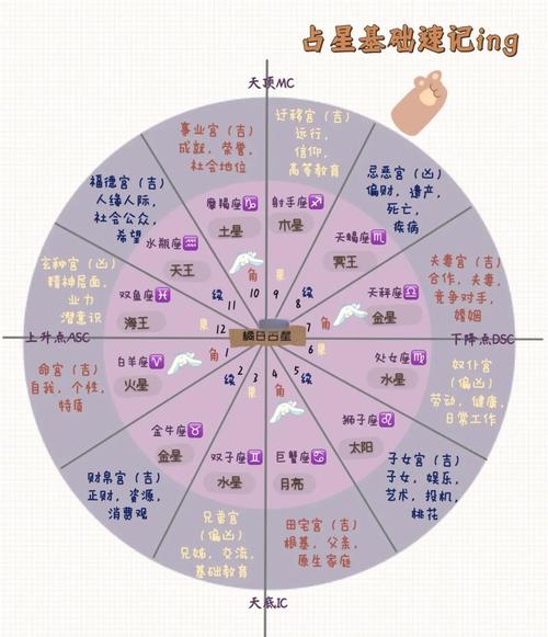 分享的内容:星座命盘图片