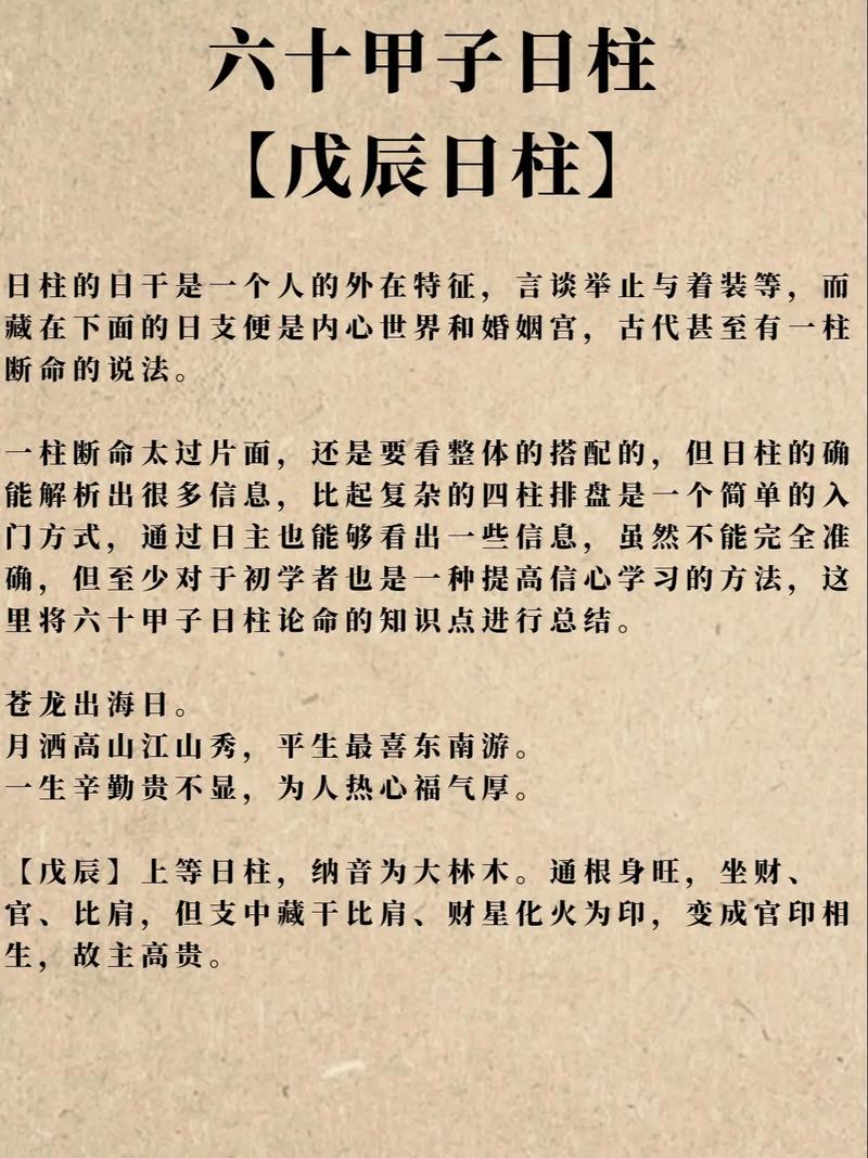 戊子日柱性格特点_戊子日柱命运解析_壬辰日柱的富贵八字