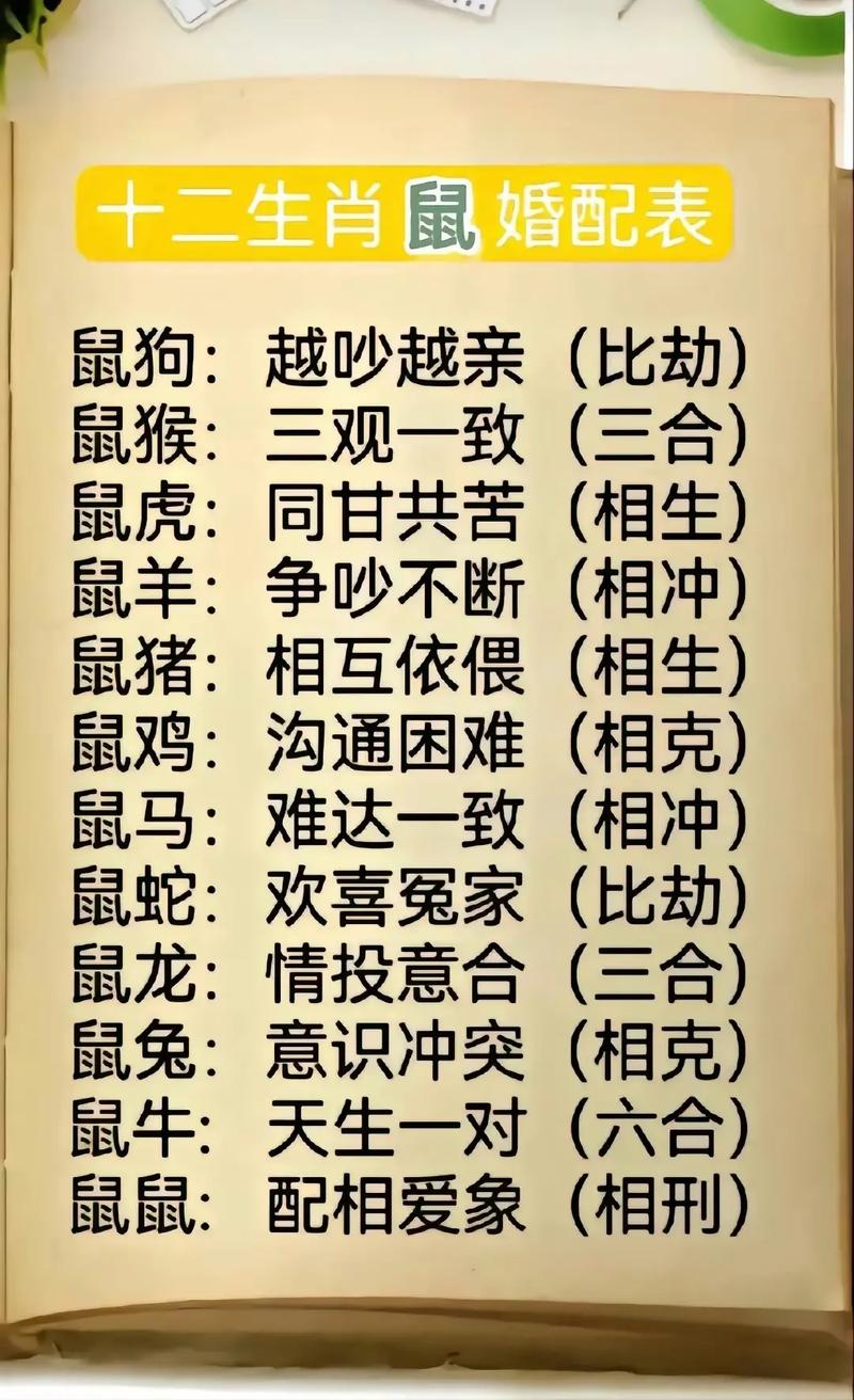 生肖婚配属相相克查询_十二生肖婚配分析_属相相生相克配对