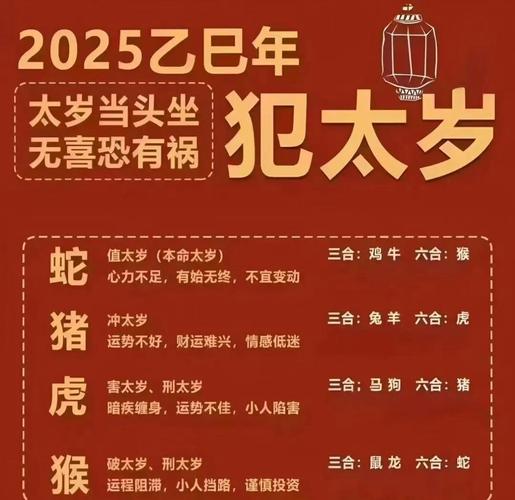 2025年各生肖财运运势详解_2025财运测算。_2025年乙巳年命理财运分析