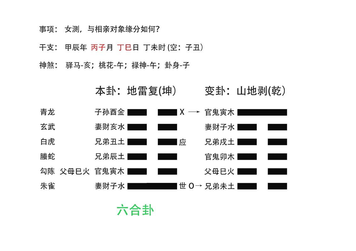 玄机六爻占卜软件_硬币摇卦法步骤_下载占卜安装