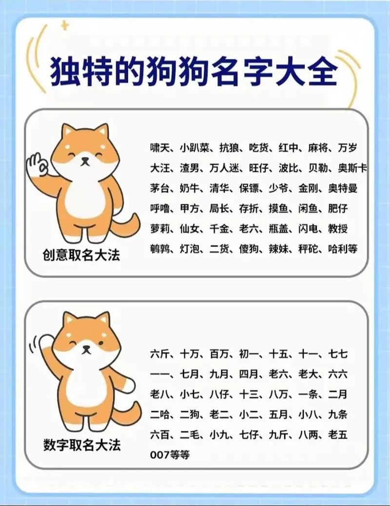 中文名字洋气_狗狗名字推荐_小狗起名 洋气点的