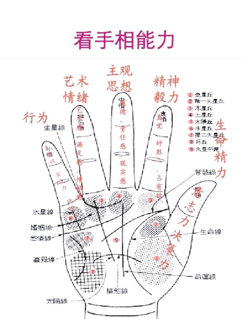 手掌三丘饱满_手相财运线_测算财运位置