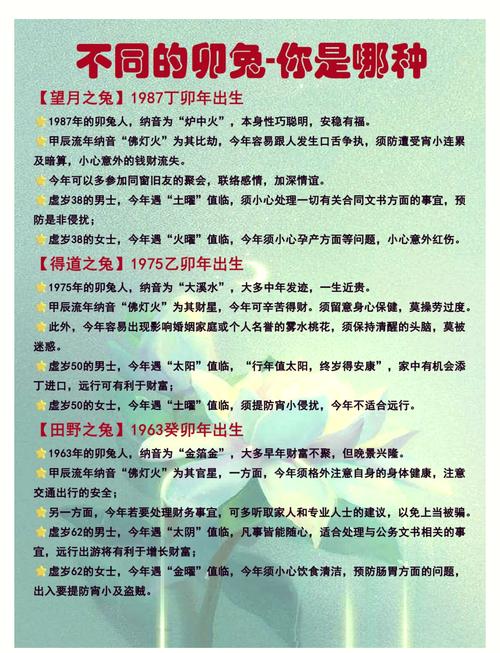 1987年属什么生肖五行_1987年属兔人运势分析_1987年属兔人性格特点