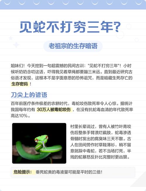 属蛇的人是不是两面三刀_蛇药误会是怎样的_生肖属蛇的人相克属相