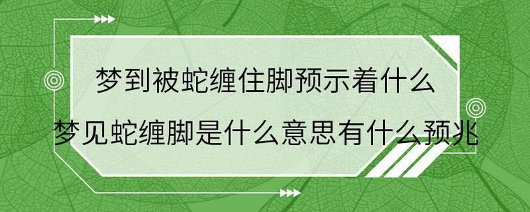 梦见蛇缠脚被咬不同时间段的征兆_梦见蛇缠脚被咬预示爱情运势_梦见自己被蛇咬到脚踝