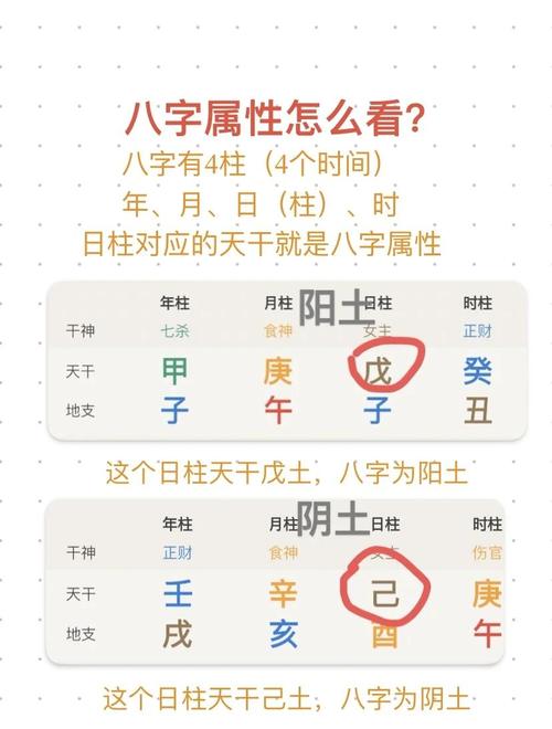 八字免费排盘算命_到底八字算命是真的假的_八字免费算命原理