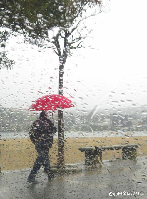 得此梦寻求合作之属表安宁之意_梦见下大雨打伞_梦见自己淋雨