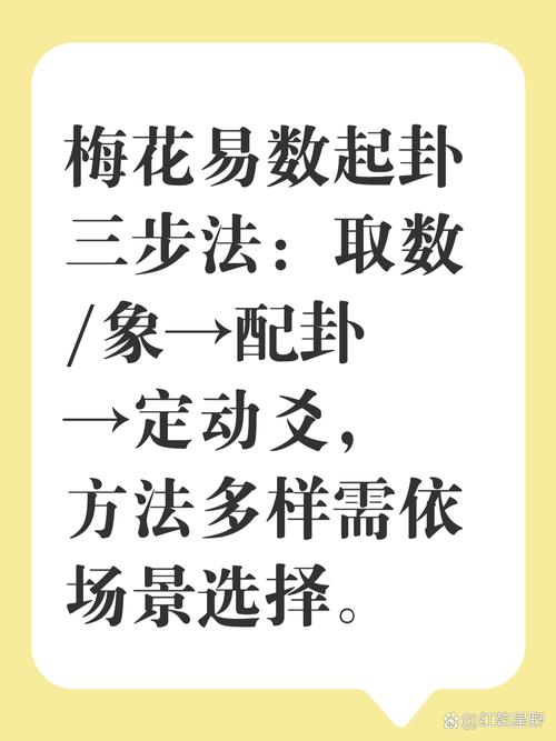 邵雍 梅花易数 邵雍梅花易数_易经占卜方法 流程