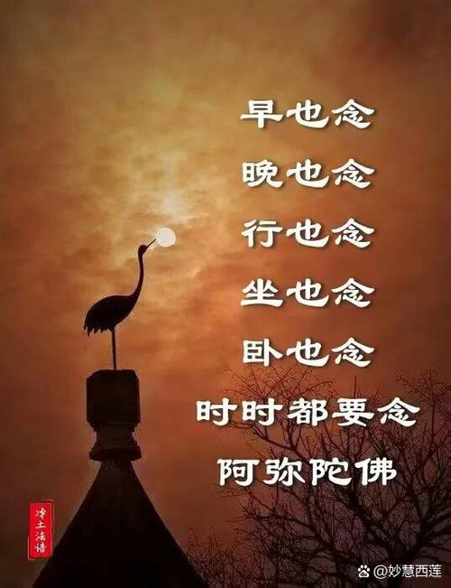 梦见阿弥陀佛_梦见念阿弥陀佛_梦见佛的含义