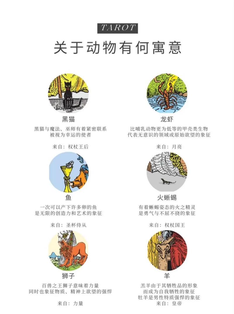 全套塔罗牌图片_动物塔罗牌维特韦特入门教程_维特韦特动物塔罗牌玩法详解