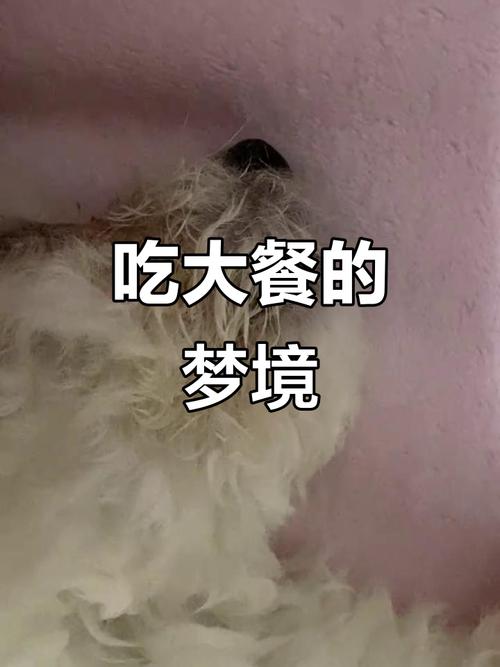 梦见饱的含义_梦见吃饭吃得很饱_周公解梦梦见坐桌子吃饭