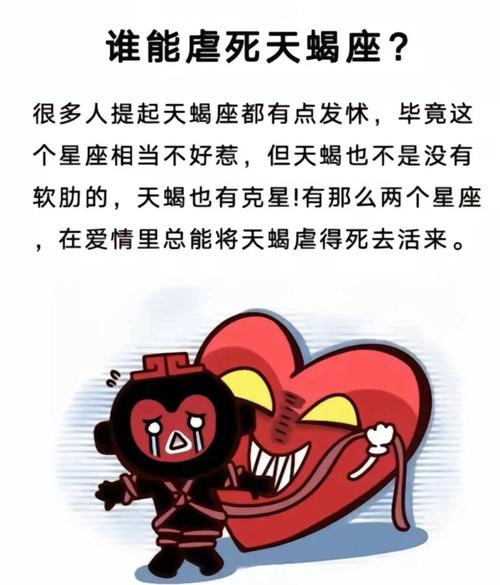 天蝎座能吃定哪个星座_天蝎座吃软饭吗_最能吃定天蝎男的星座