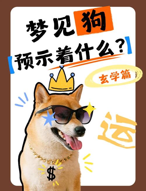 梦见很多狗是什么意思_不同时间段梦见好几条狗从身边走过的征兆_梦见好几条狗从身边走过预示着什么