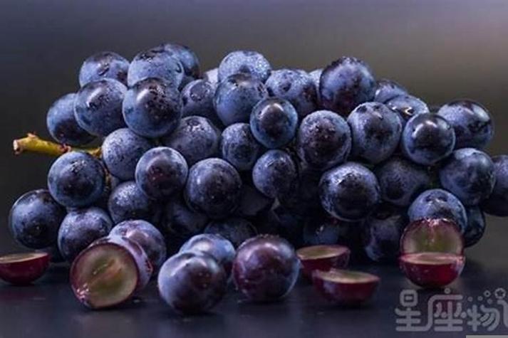 梦见买葡萄回家_梦见买葡萄_梦买葡萄吃