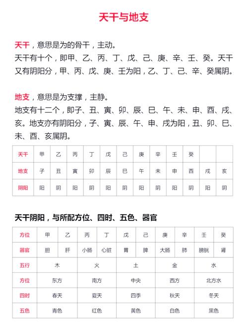 生辰八字天干地支五行属性_五行天干地支对照表_天干地支五行对照表