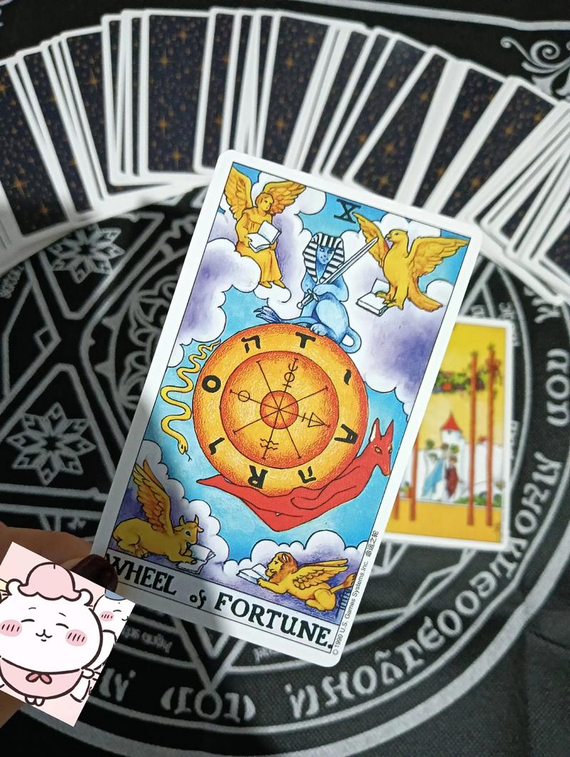 塔罗牌运营_塔罗牌在线占卜塔罗牌专区_塔罗牌学习