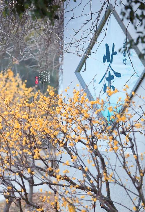 孕妇梦见小三预示什么_孕期胎梦科学解释_准爸爸也会做胎梦的原因