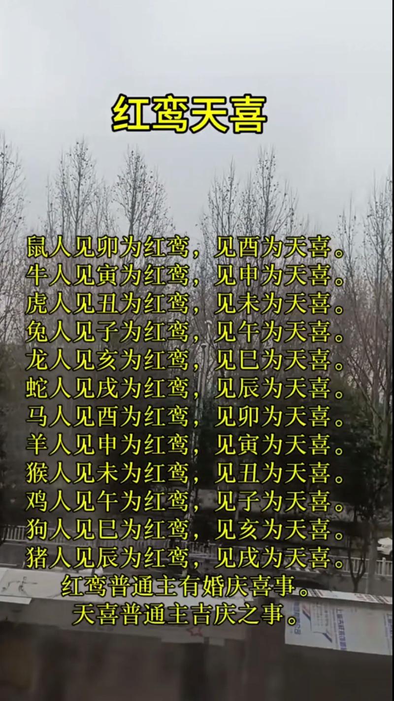2019年红鸾入命 属虎人主动出击 属龙人性格相合_有红鸾桃花入命好不好