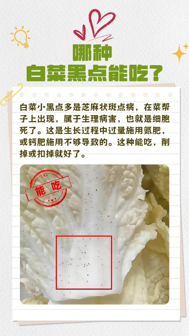 梦到菜叶上有虫子_梦见菜叶上有虫子_虫子菜叶梦见上有虫子