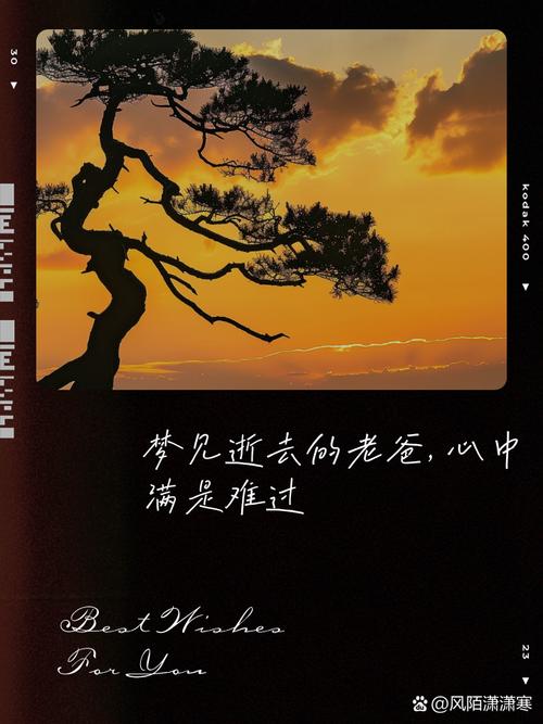 见过哭世爸爸梦见过世了_梦见过世的爸爸哭_哭死去的爸爸