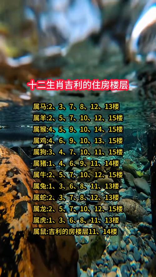 生肖买房楼层风水_五行属木床头朝向_楼层风水与命主关系