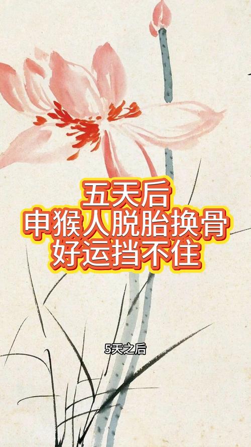 2026年生肖运程预测_属猴2026年如何把握机会_2026年属猴运势