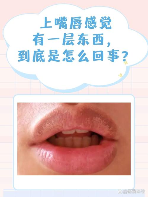 为什么八字好命却不好_嘴唇外翻命格不好_相学嘴唇外翻分析