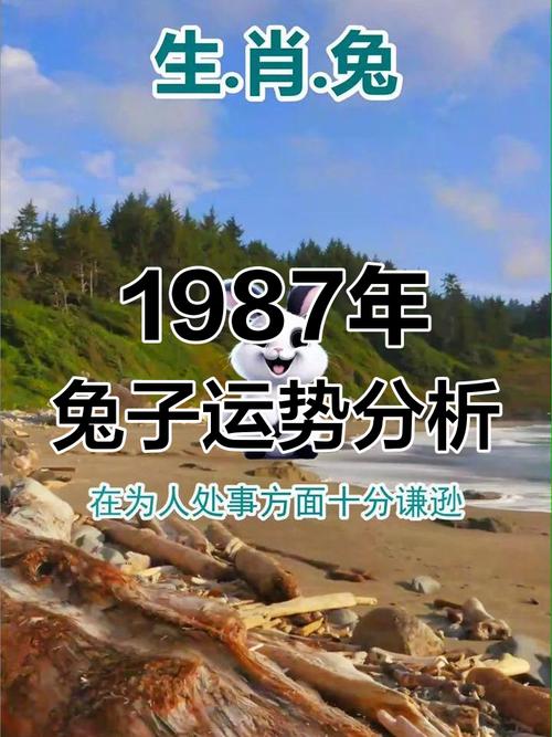 1987年属兔2026年运势_87年属兔2026年每月运程_2026年猪生肖运程