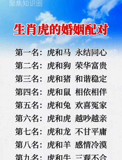 十二生肖性格特点婚配_十二生肖运程运势婚姻_十二生肖婚配全解析