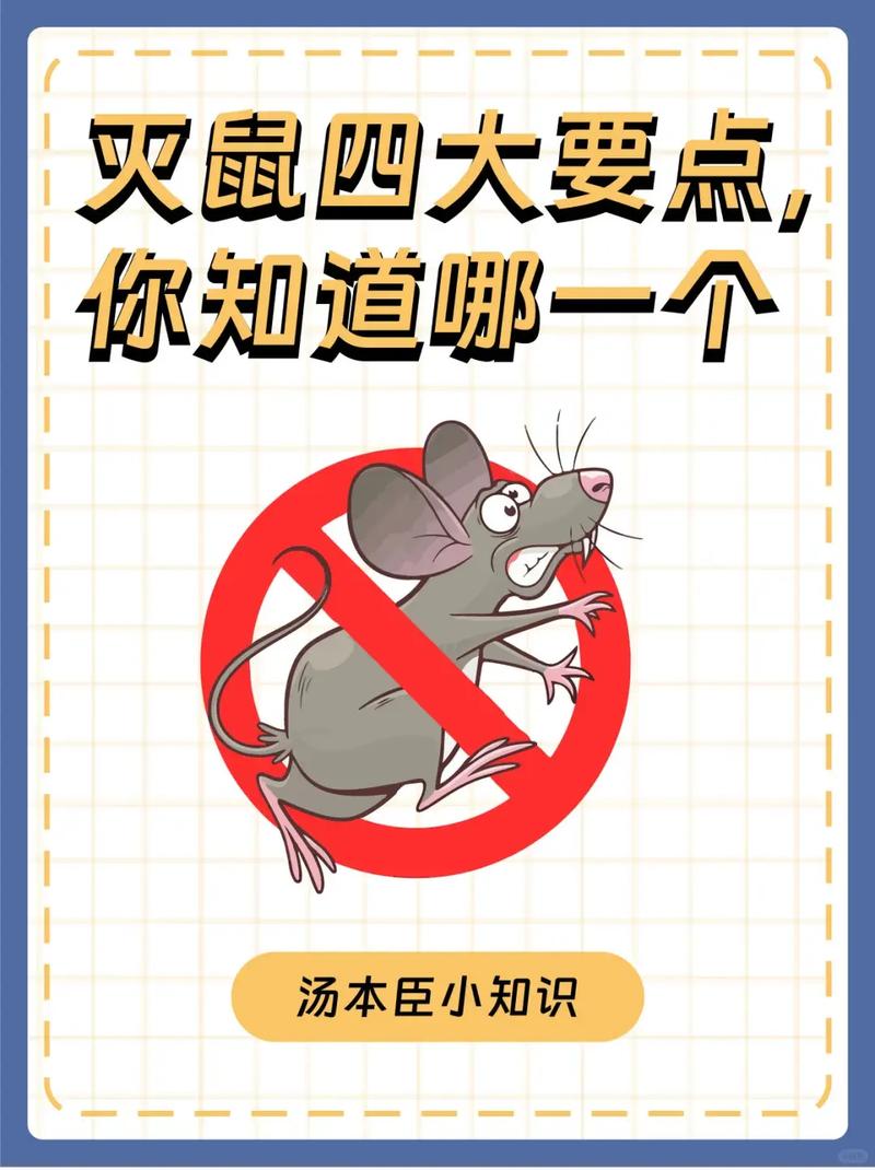 2026年属鼠生肖运程_鼠人现金流管理_鼠年家庭购房决策