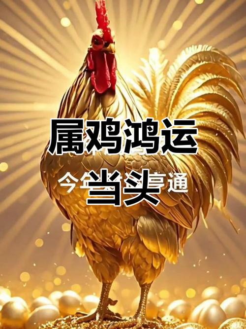 2018年生肖属鸡人整年运势_生肖鸡2018年运势分析_运缘阁2026生肖运程
