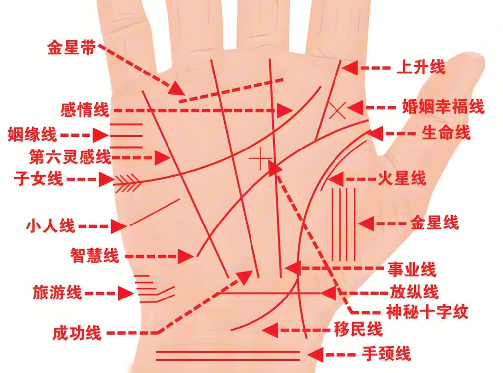 癸卯日贵命精论_癸卯日柱大贵的八字_癸卯日柱贵人多