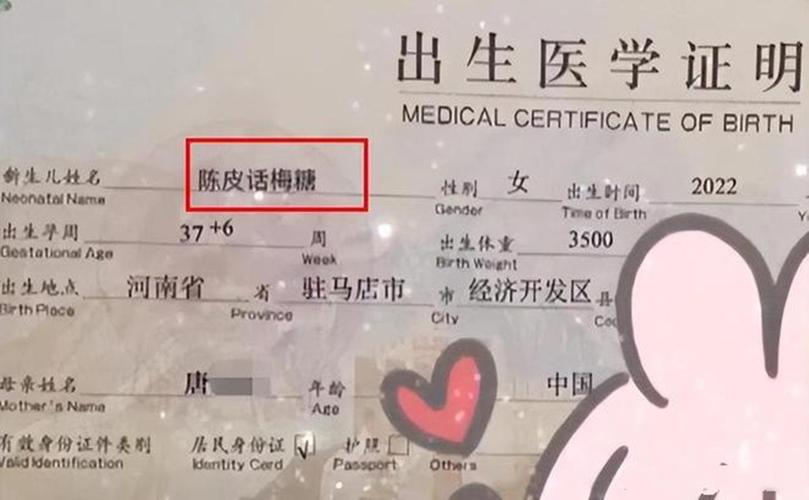 奇葩姓名上户口现象_姓胡起名_给孩子起名字最新趋势