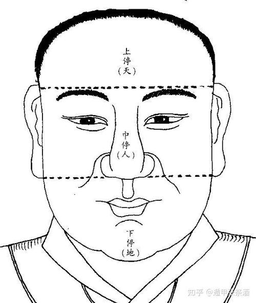 耳珠相术看运势_如何测算财运_手软手硬面相