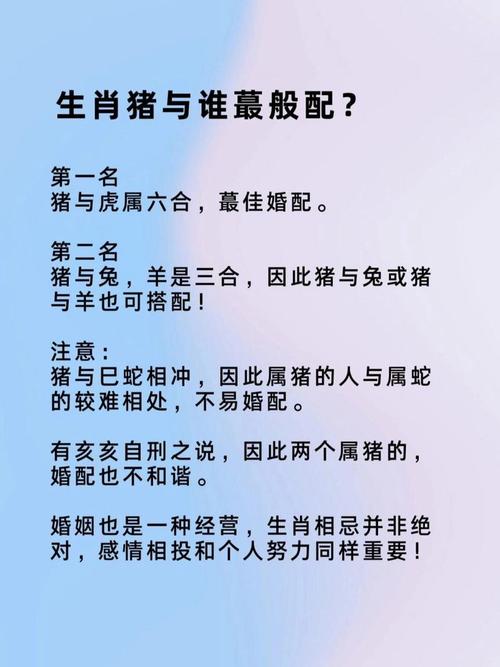 1995年属什么生肖属相_属猪人感情运势2024年_1995属猪男2024年正姻缘
