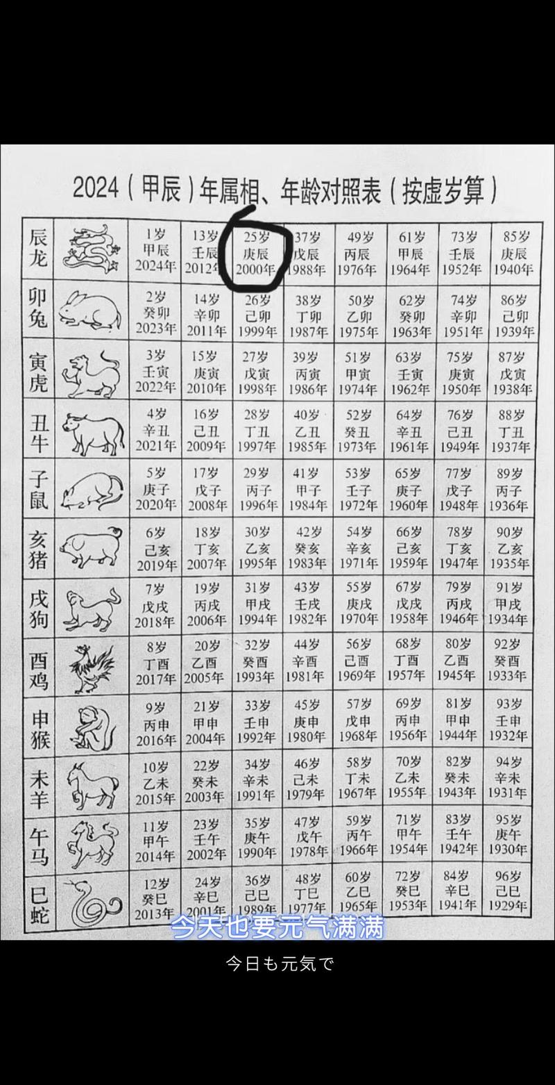 十二生肖虚岁年龄对照表_1995年属什么生肖属相_属鼠虚岁年龄计算