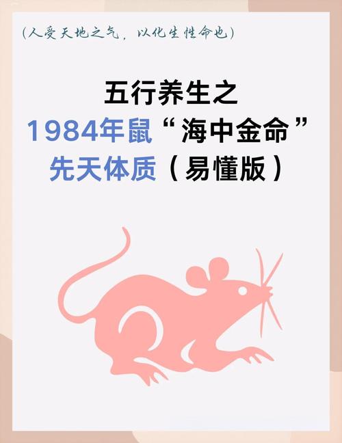 1948年属鼠人的命运分析_土鼠命性格特点_1948年属什么生肖五行