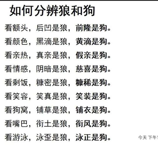 王者荣耀狼狗名字_霸气好听狼狗名字技巧_狼狗起名