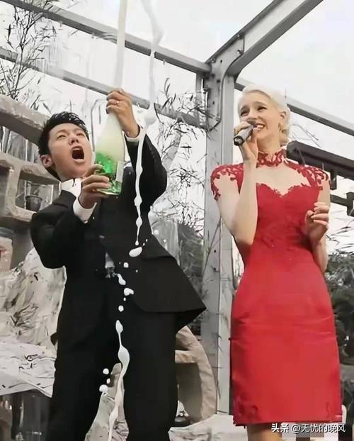 网友给撒贝宁老婆起名_Lisa中文名李白_撒贝宁外籍妻子Lisa