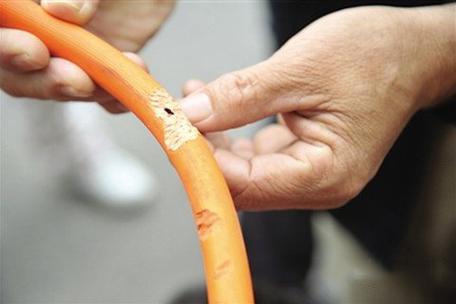 梦见老鼠咬着自己不放 解析_梦见老鼠咬自己预示_做梦梦见被老鼠追着咬