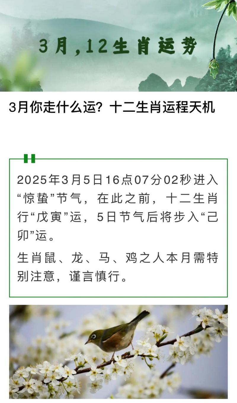 别错过:2026年3月12日十二生肖运势