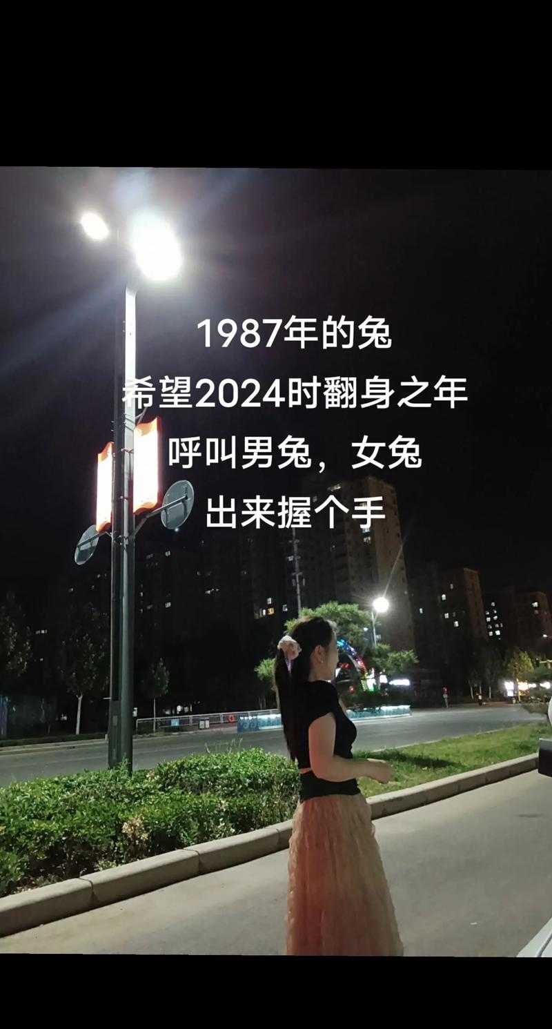 意外:1987年兔的后半辈子：幸福与机遇并存