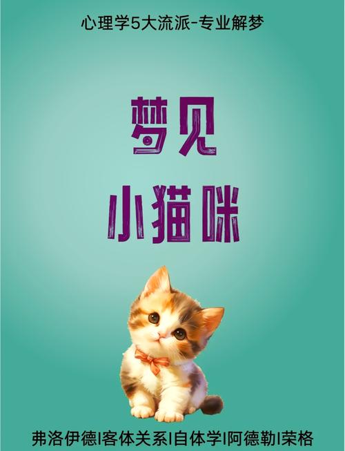 睡觉猫梦见很多蛇_睡觉猫梦见很多老鼠_梦见很多猫在睡觉