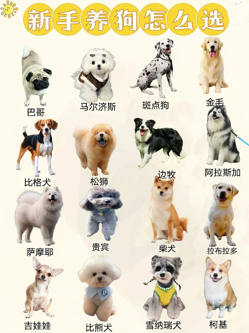 八字缺什么就补什么吗_五行缺什么就补什么_八字命理最合适养什么宠物