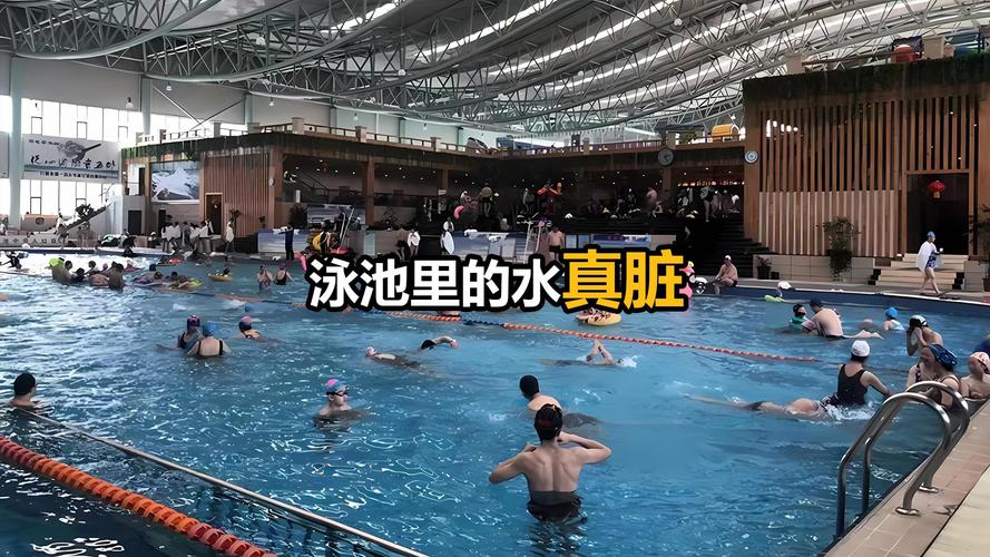 梦见游泳池水脏了_梦见 游泳池_梦见游泳池水脏了预示