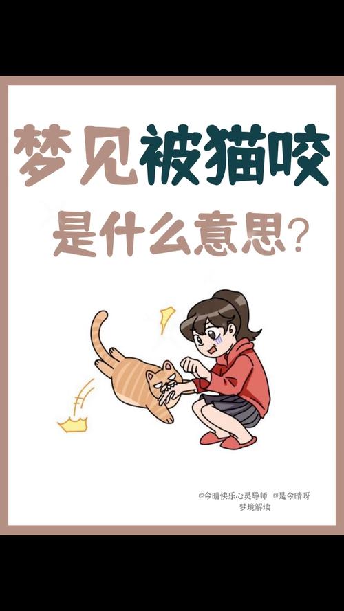 梦见好多只猫_女性梦见猫的寓意_梦见很多猫在睡觉