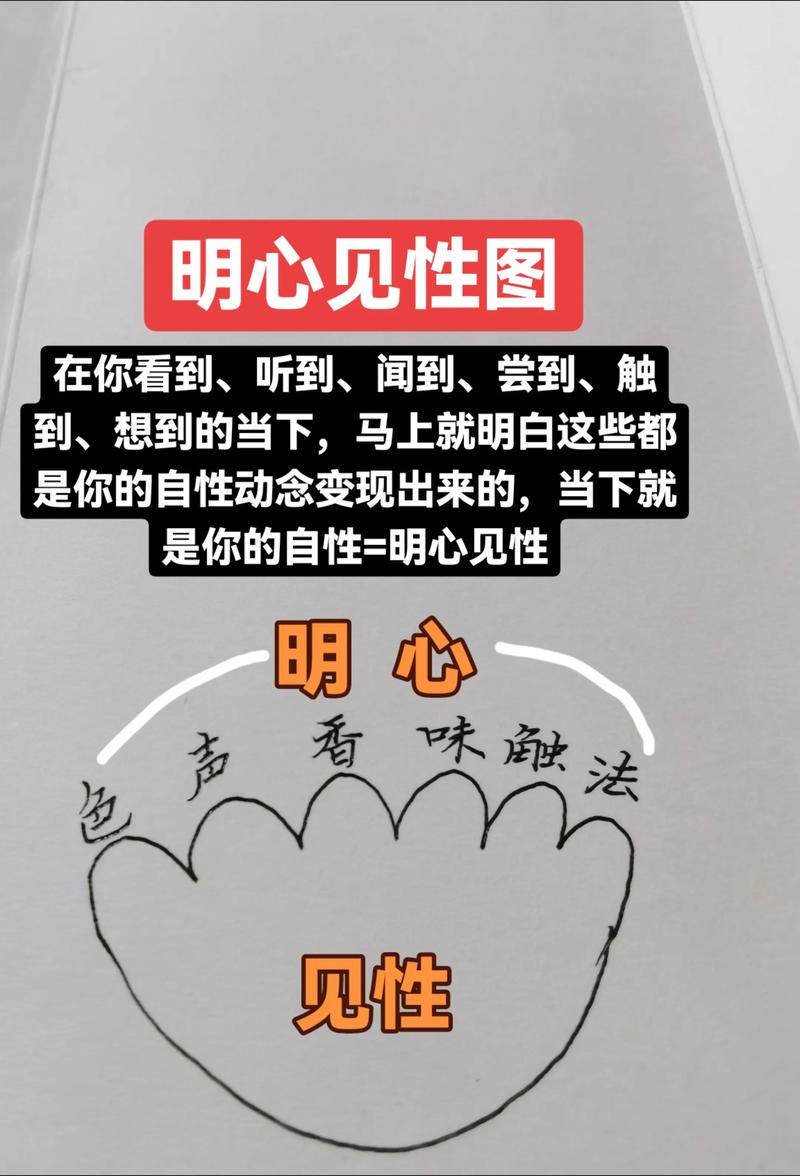 命理学 命与运的平衡 中庸之道_怎样用生辰八字算命