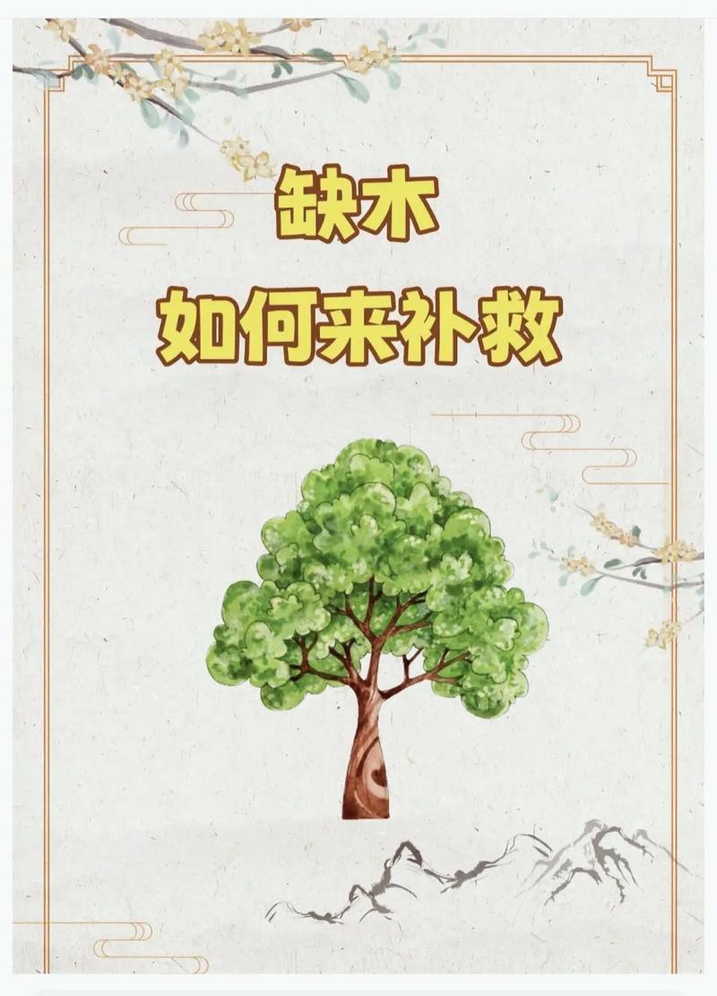 五行缺木如何化解_绿水晶助运功效_五行缺木喜火